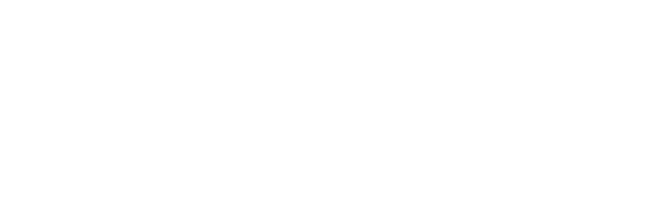 The Kul Store
